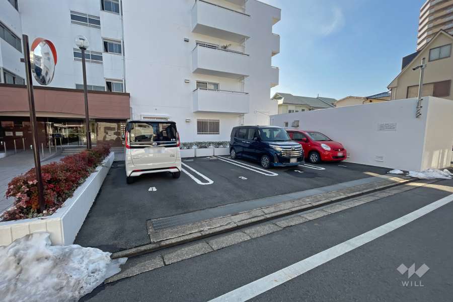 敷地内駐車場（屋外平面式）