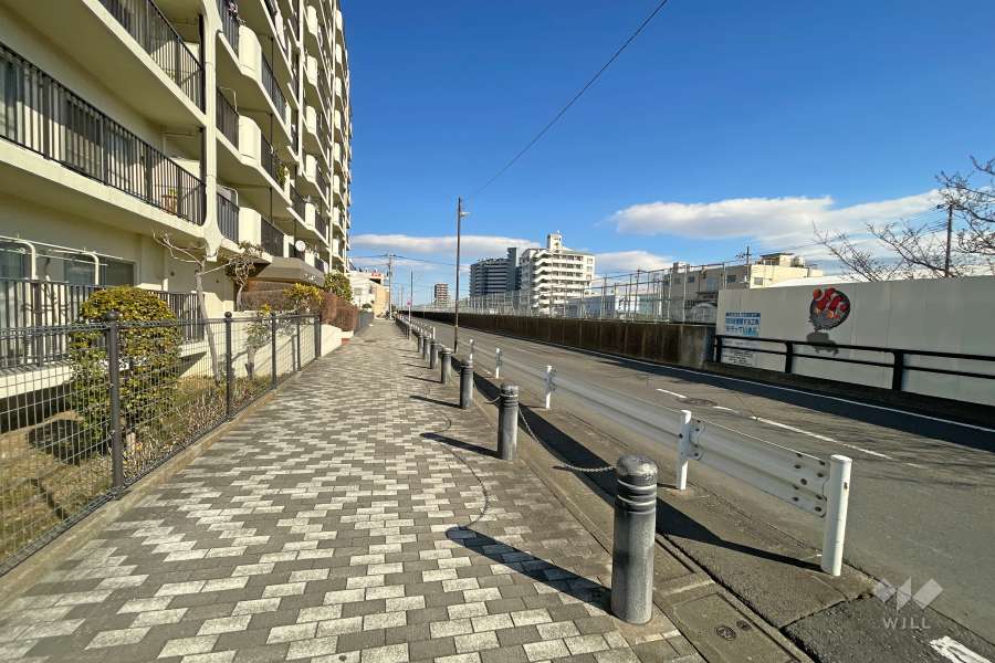 敷地南側の前面道路（西側から）