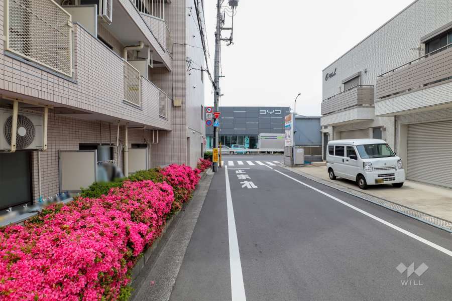 敷地西側の前面道路（北側から）