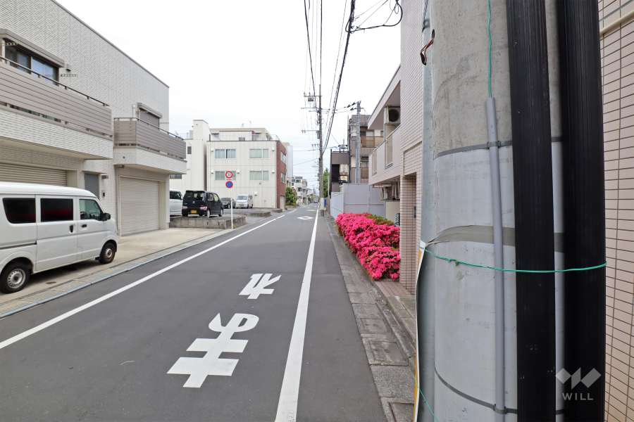 敷地西側の前面道路（南側から）