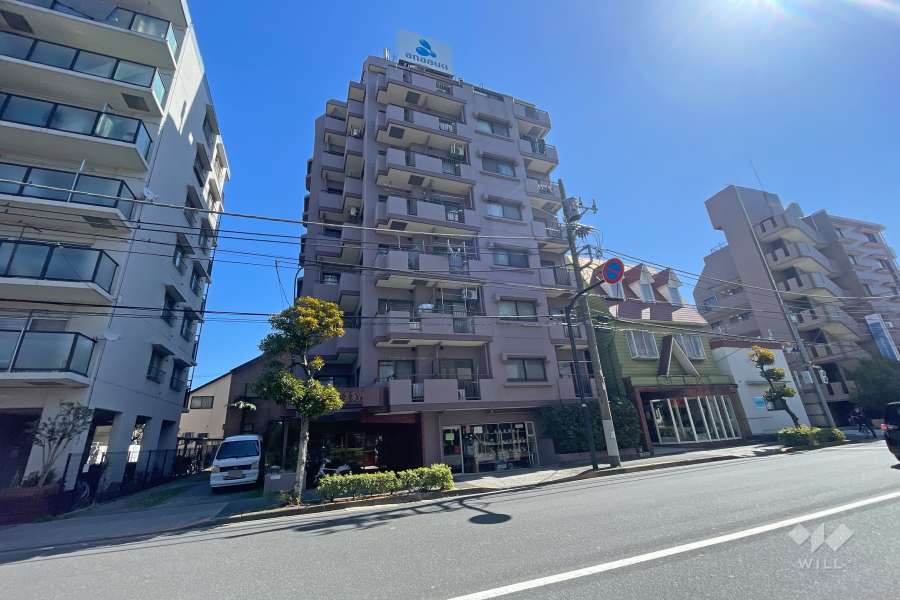 セザール第二五反野の外観（北西から）