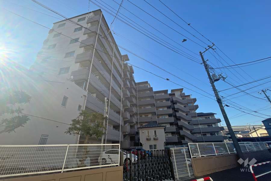 セントエルモ綾瀬の外観（北東側から）