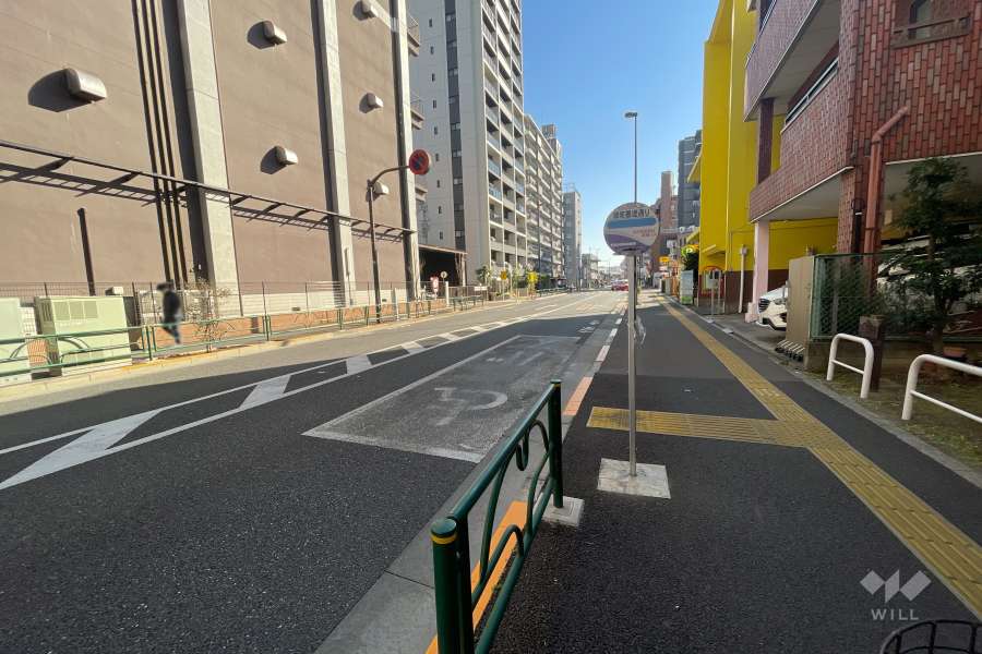 敷地東側の前面道路（北側から）