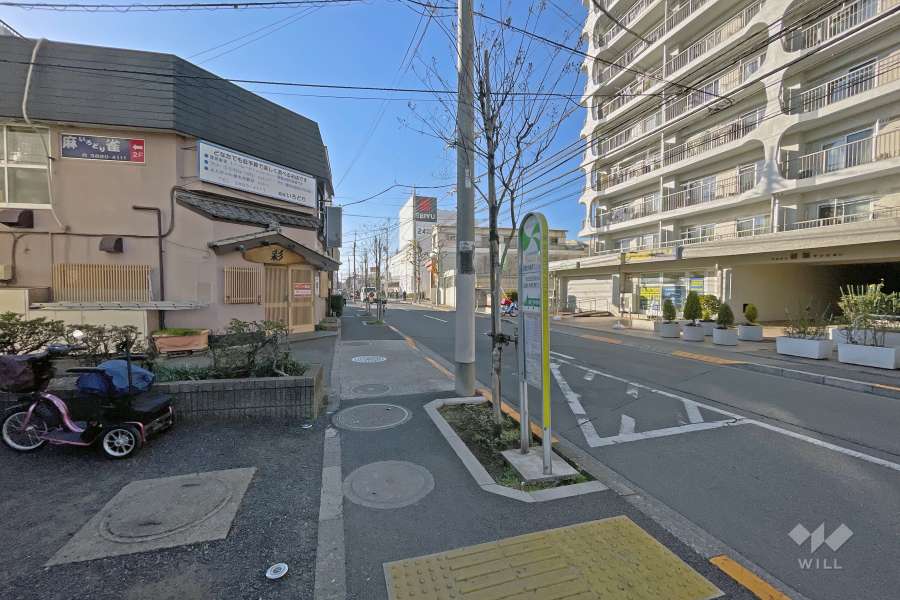 敷地の北側前面道路は環七南通りです（東側から）。バス停が目の前にあります。