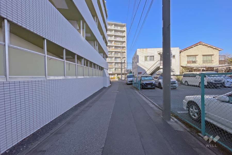 敷地の東側道路（南側から）