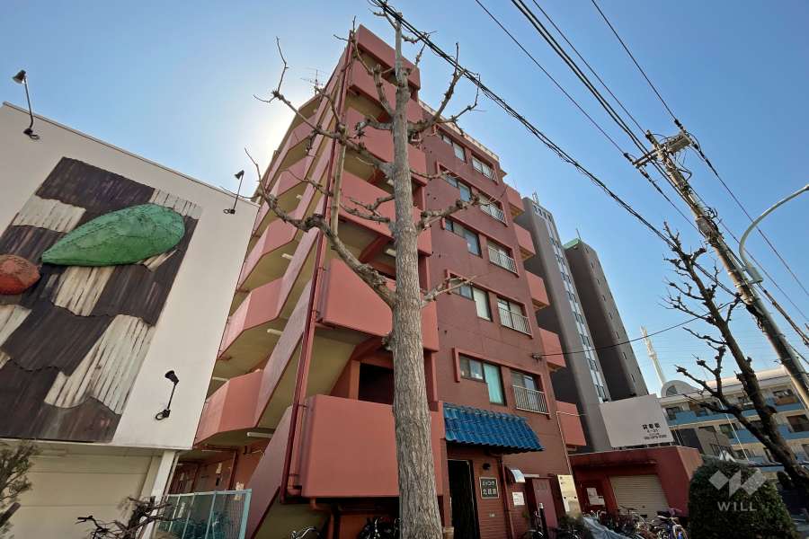 ハイコーポ北綾瀬の外観（北東側から）