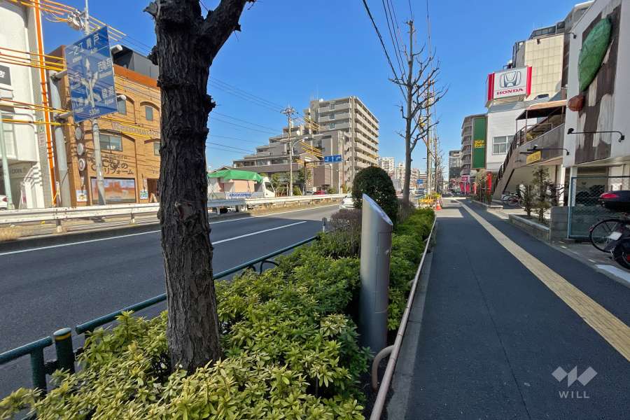 敷地北側の前面道路（西側から）