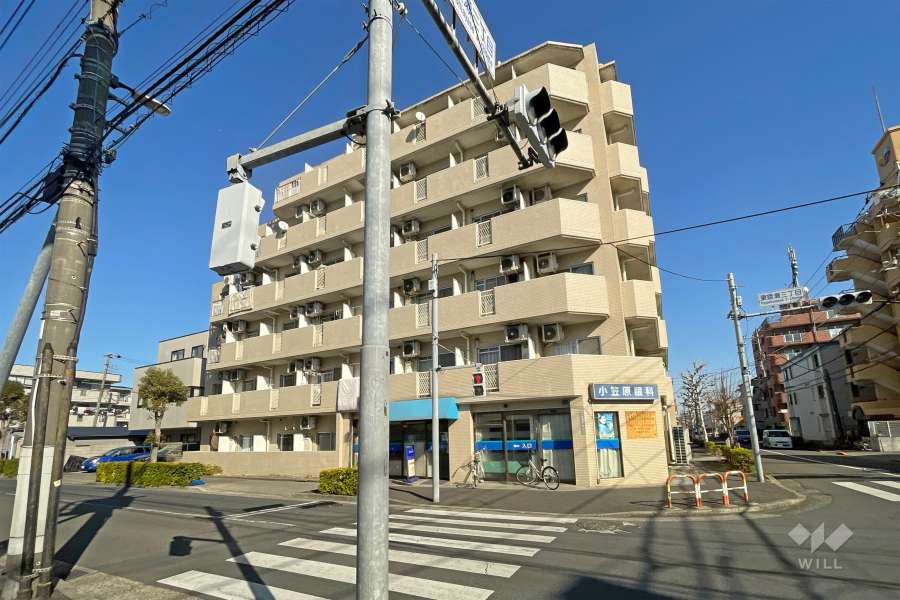 パレドール亀有2の外観（南西側から）