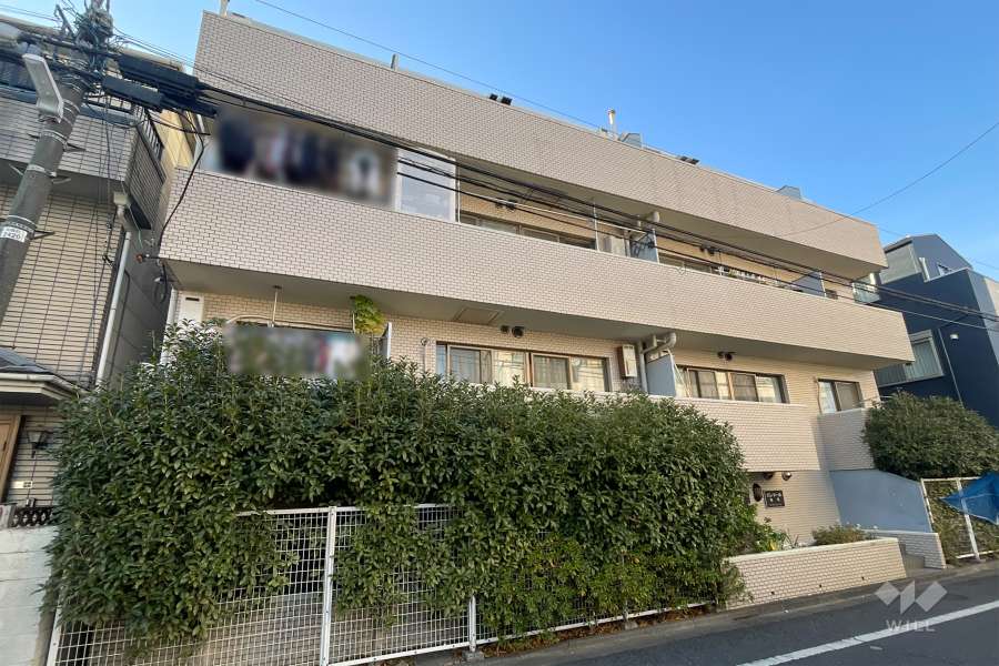 パレドール亀有の外観（東側から）