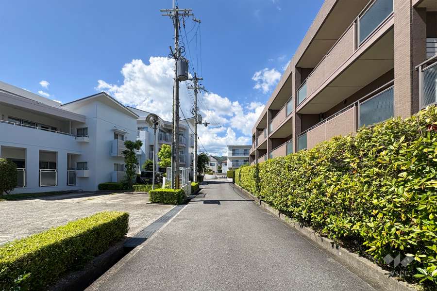 敷地西側の前面道路（南側から）