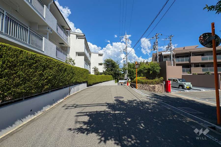 敷地北側の前面道路（西側から）