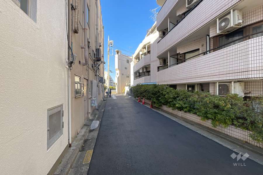 敷地南西側の前面道路　