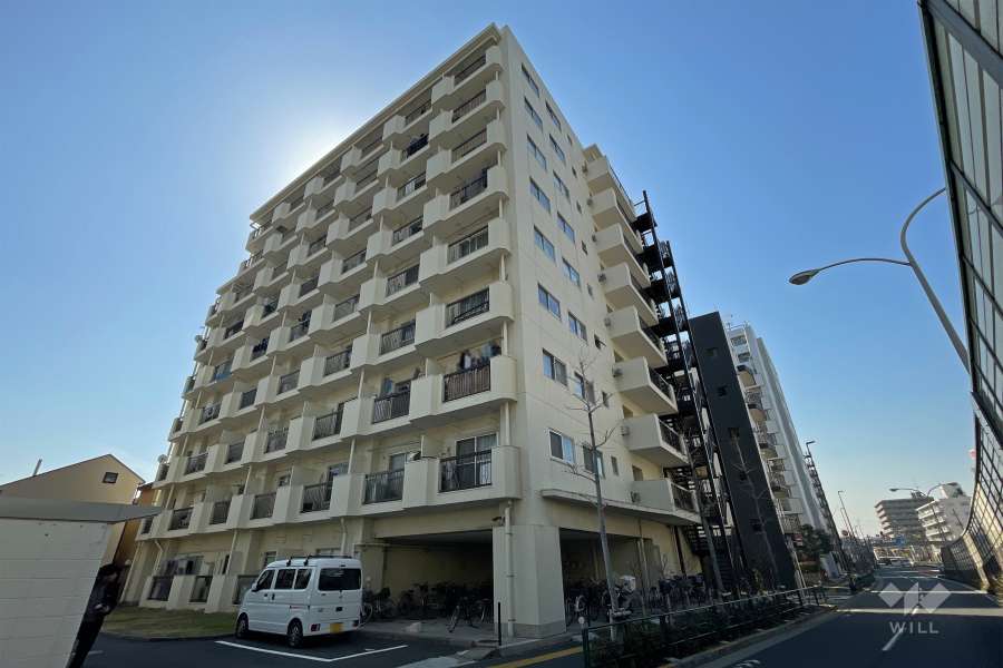 藤和亀有コープの外観（北東側から）