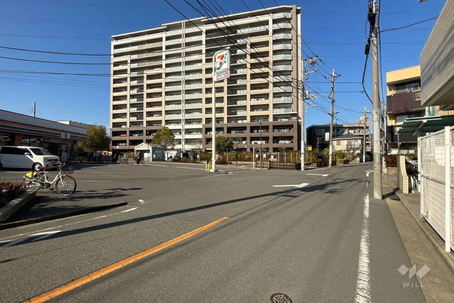 敷地西側の前面道路（南側から）