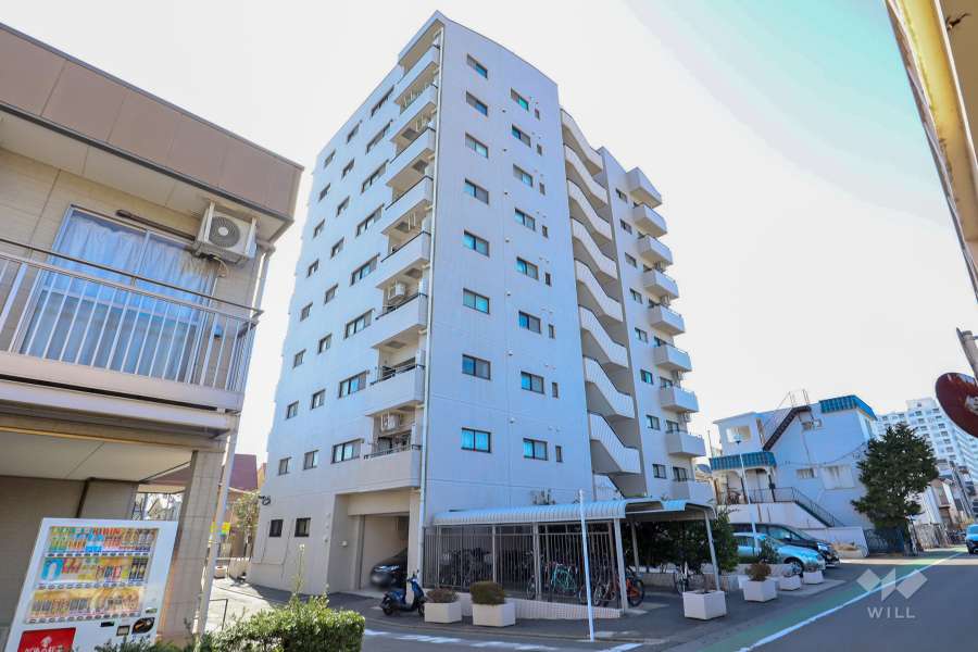 北千住ビューハイツの外観（北東側から）