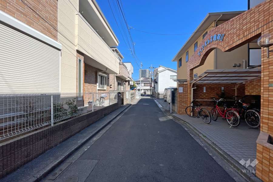 敷地北側の前面道路（西側から）