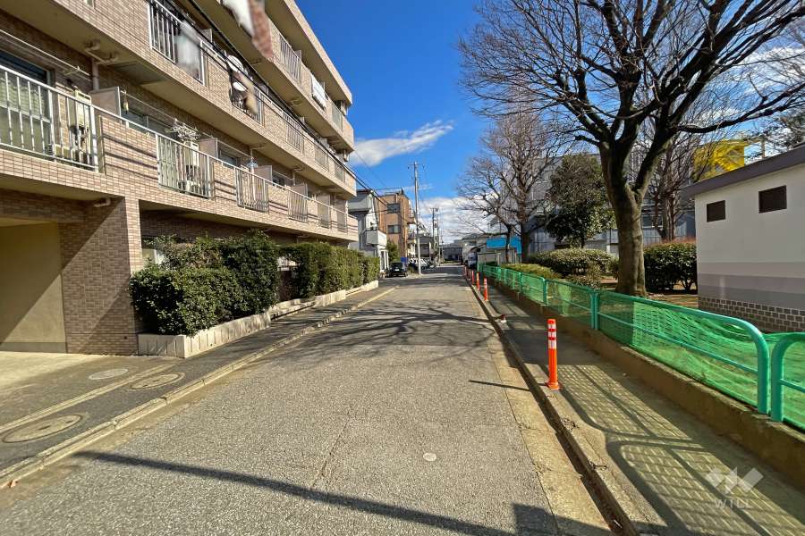 敷地南側の前面道路（西側から）