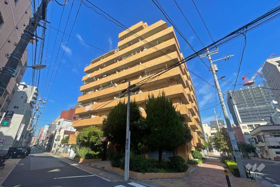 ライオンズマンション綾瀬の外観（南東側から）