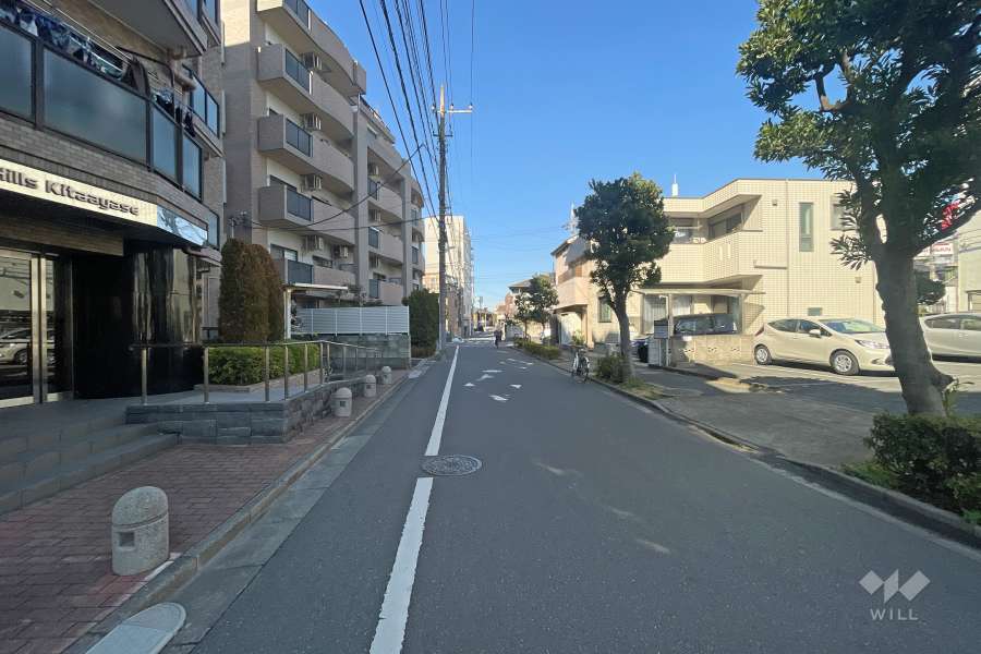 敷地南側の前面道路（南側から）