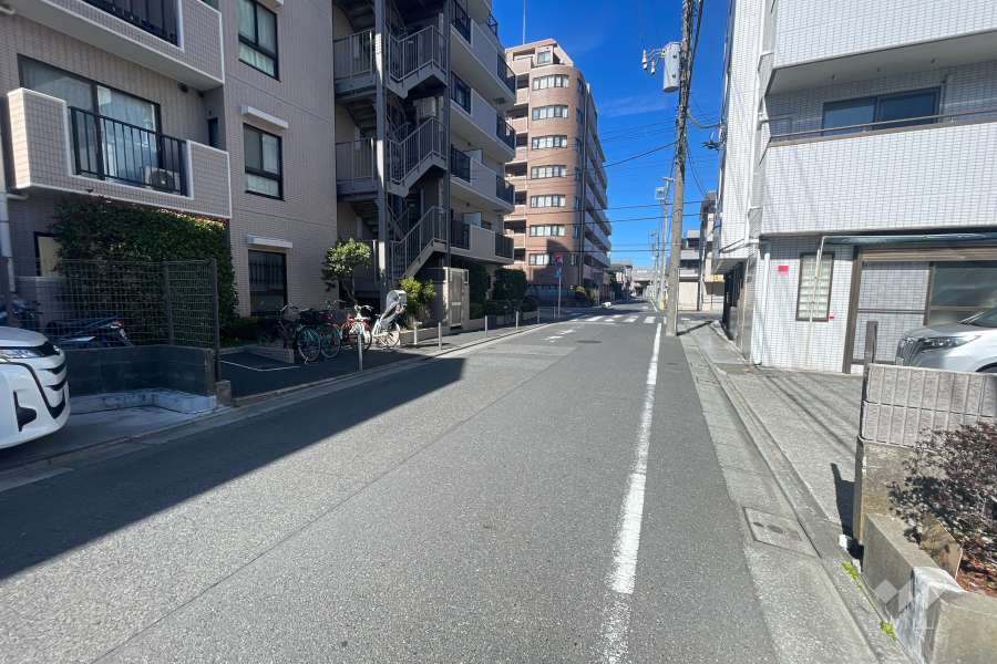 敷地の西側前面道路（北側から）