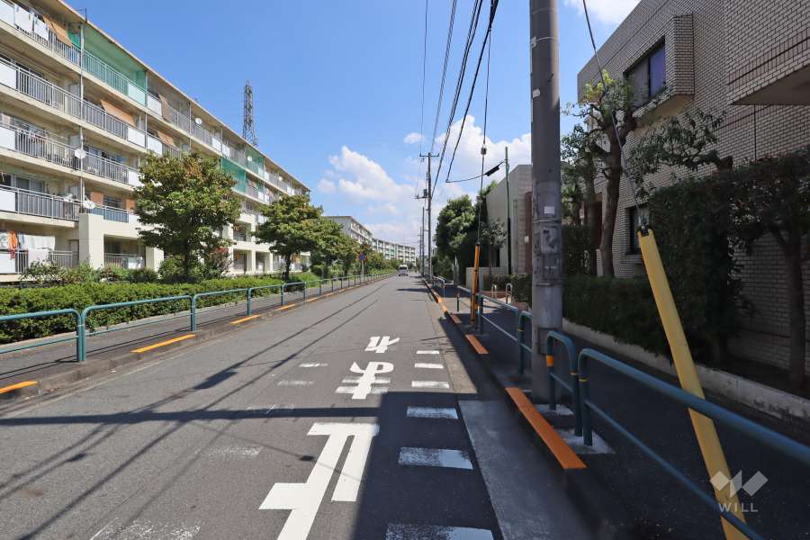 敷地北側の前面道路（西側から）