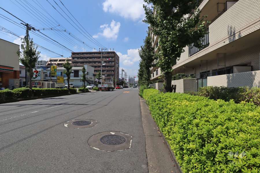 敷地南側の前面道路(東側から)