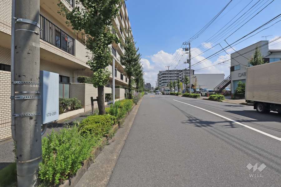 敷地南側の前面道路(西側から)