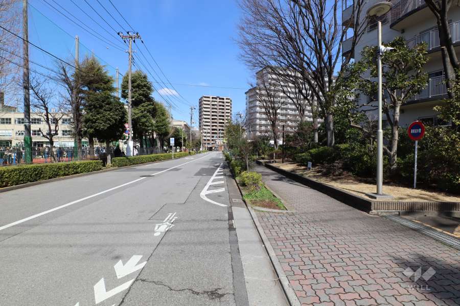 敷地の西側前面道路（南側から）