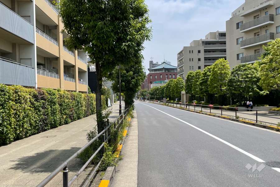 敷地の南側前面道路（西側から）