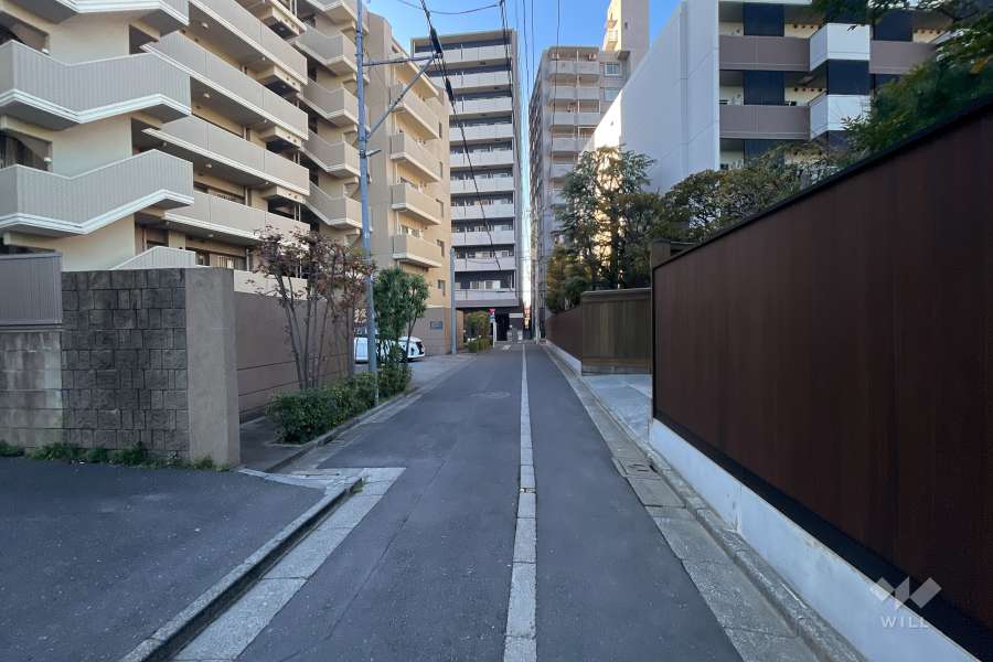 敷地北東側の前面道路（南東側から）