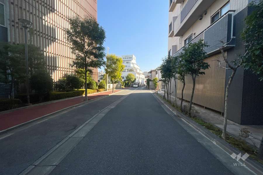 敷地東側の前面道路　