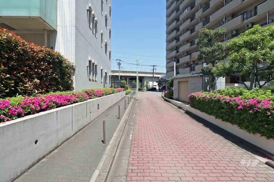 敷地の東側道路（南側から）