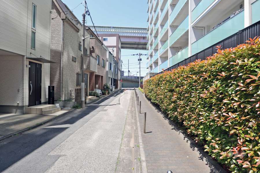 敷地の南側道路（東側から）