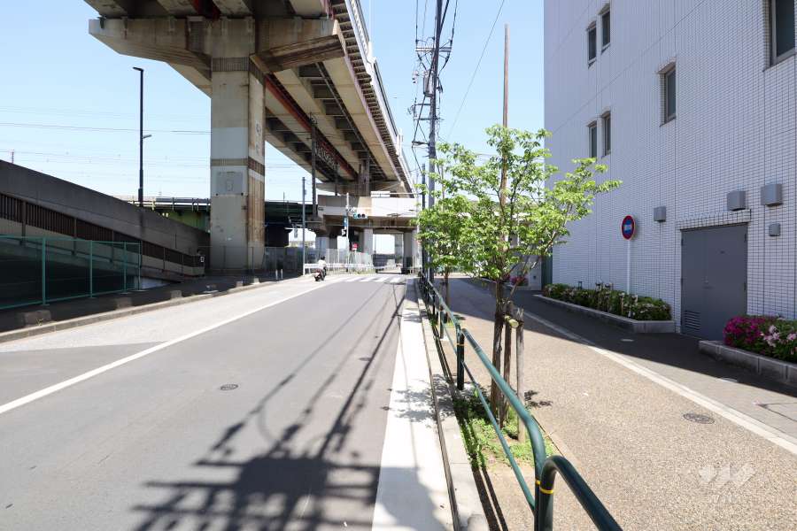 敷地の西側道路（南側から）