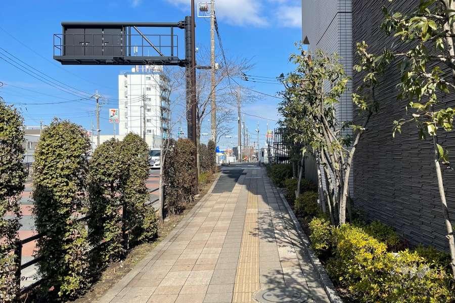 敷地の西側前面道路（南側から）