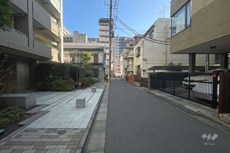 敷地南側の前面道路　