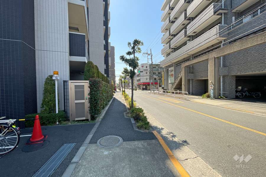 敷地西側の前面道路（北側から）