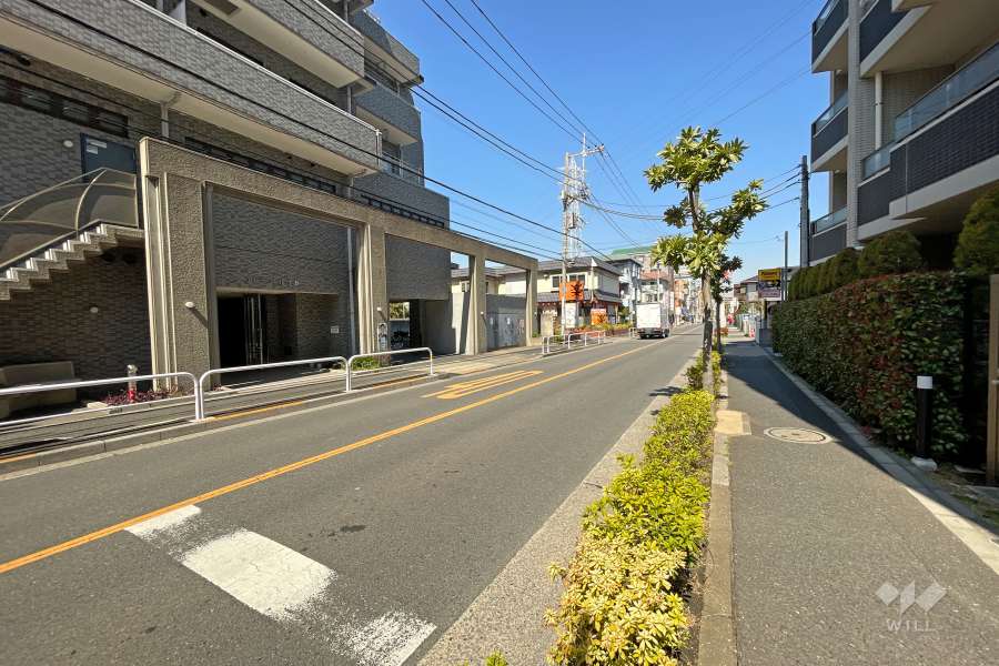 敷地西側の前面道路（南側から）