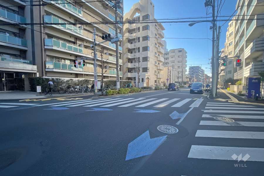 敷地の西側前面道路（北側から）