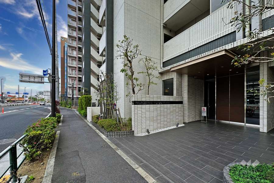 敷地北側の前面道路（西側から）