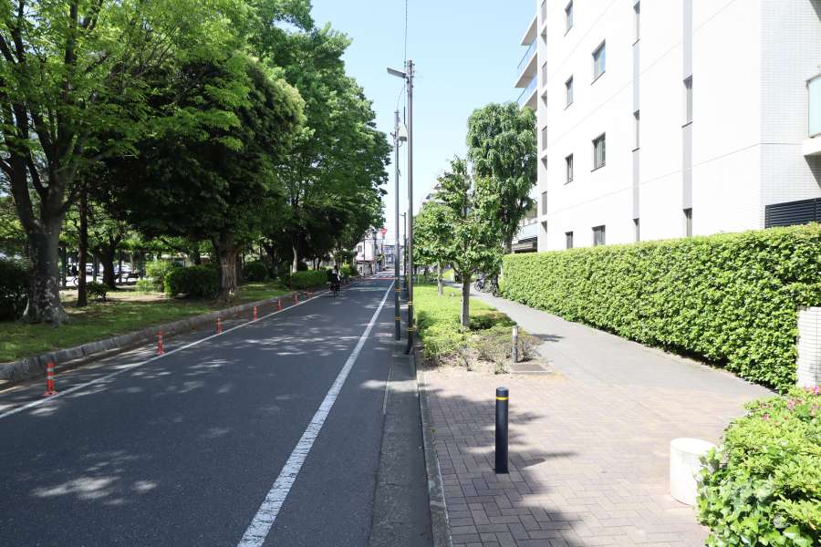 敷地西側の前面道路（南側から）