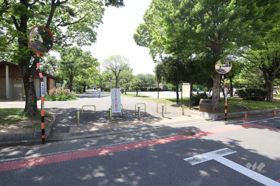 敷地西側に隣接する『東綾瀬公園』