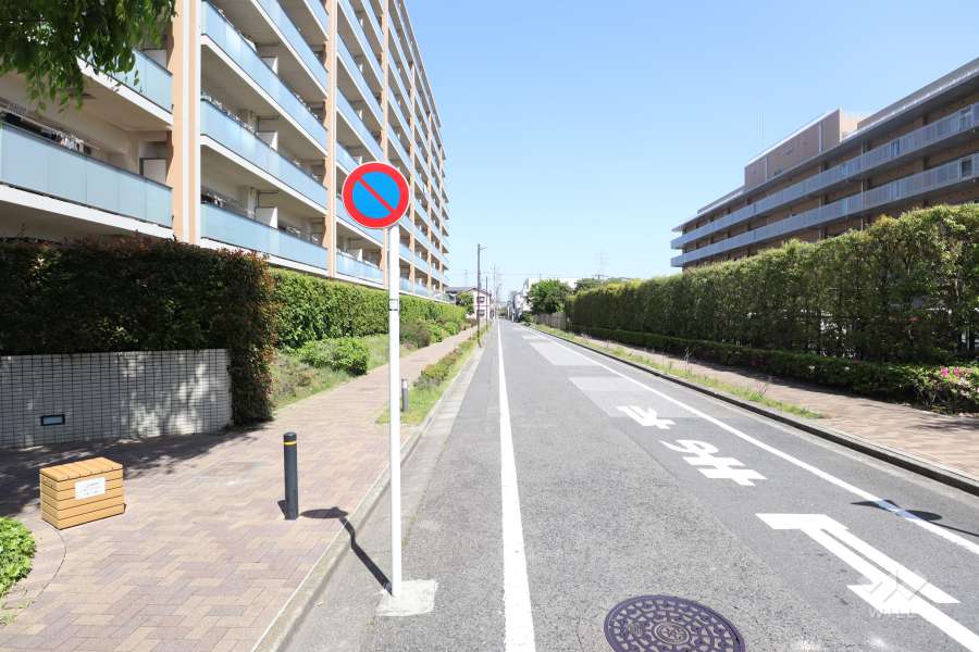 敷地南側前面道路（西側から）