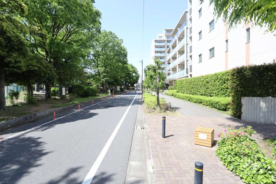 敷地の西側道路（南側から）