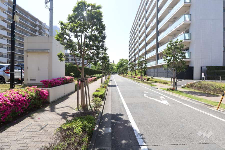 敷地の北側道路（東側から）