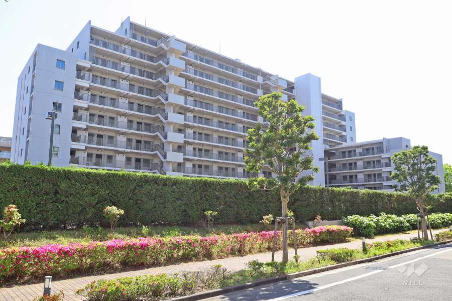 東綾瀬公園ハイライズシーズンスクエアの外観（北東側から）