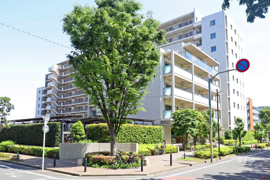 東綾瀬公園ハイライズシーズンスクエアの外観（北西側から）