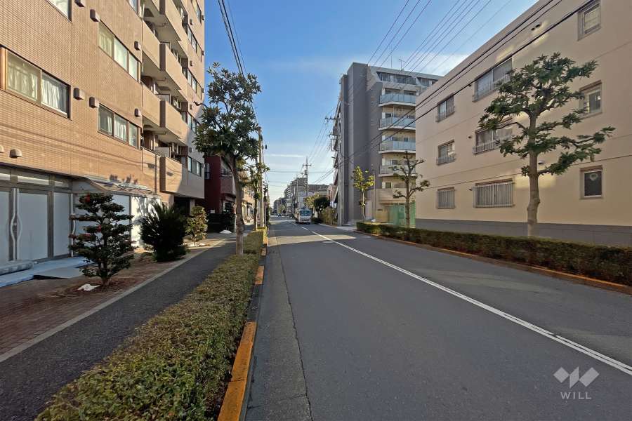 敷地の西側前面道路（南側から）