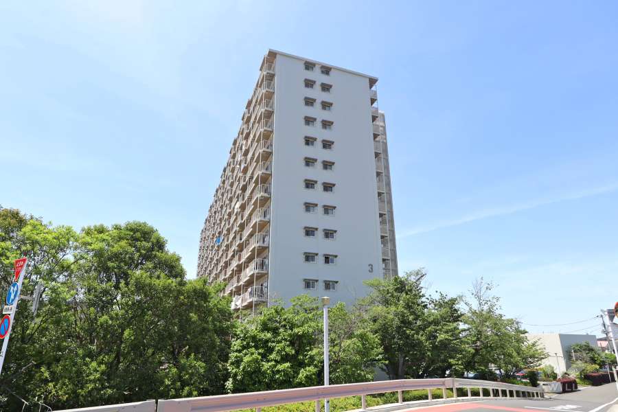 ボナハイツ中川3号棟の外観(南東側から)