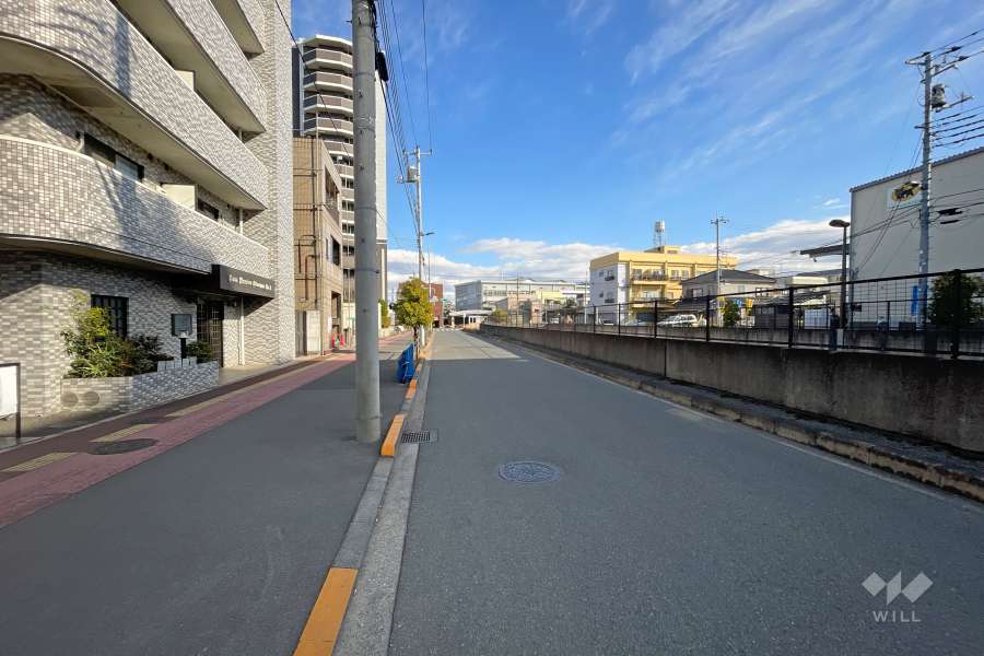 敷地の南側前面道路（西側から）